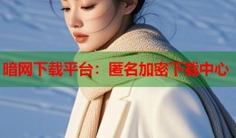 暗网下载平台：匿名加密下载中心
