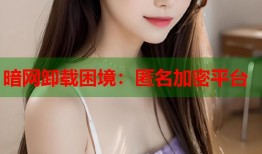 暗网卸载困境：匿名加密平台