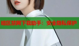 暗区禁网下载助手：安全隐私保护