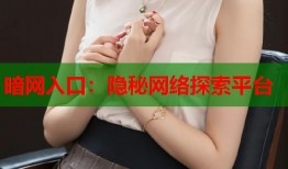 暗网入口：隐秘网络探索平台