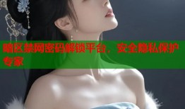 暗区禁网密码解锁平台，安全隐私保护专家