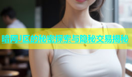 暗网J区的秘密探索与隐秘交易揭秘