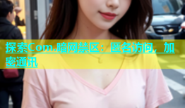 探索Com.暗网禁区：匿名访问，加密通讯
