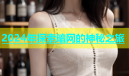 2024年探索暗网的神秘之旅