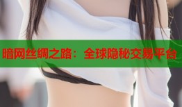 暗网丝绸之路：全球隐秘交易平台