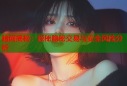 暗网揭秘：探秘隐秘交易与安全风险分析