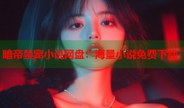 暗帝禁宠小说网盘：海量小说免费下载
