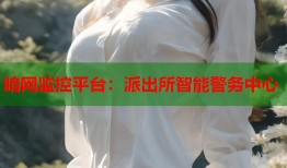 暗网监控平台：派出所智能警务中心