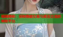 暗网揭秘：探秘隐藏交易与匿名交流的神秘平台