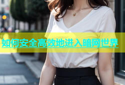 如何安全高效地进入暗网世界