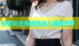 如何安全高效地进入暗网世界