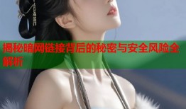 揭秘暗网链接背后的秘密与安全风险全解析