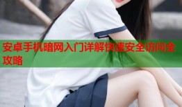 安卓手机暗网入门详解快速安全访问全攻略