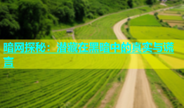 暗网探秘：潜藏在黑暗中的真实与谎言