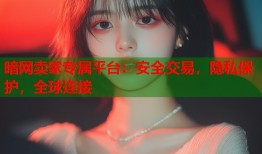 暗网卖家专属平台：安全交易，隐私保护，全球连接