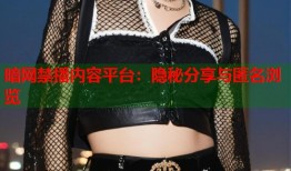 暗网禁播内容平台：隐秘分享与匿名浏览