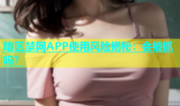 暗区禁网APP使用风险揭秘：会被抓吗？