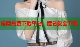 暗网免费下载平台：匿名安全下载