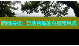 暗网探秘：禁地背后的真相与风险