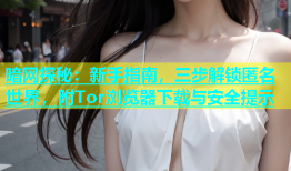 暗网探秘：新手指南，三步解锁匿名世界，附Tor浏览器下载与安全提示