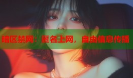 暗区禁网：匿名上网，自由信息传播