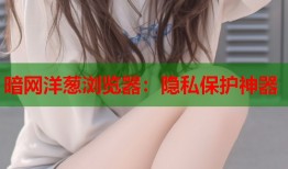 暗网洋葱浏览器：隐私保护神器