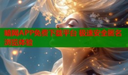 暗网APP免费下载平台 极速安全匿名浏览体验