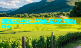 暗网探索神器：安全匿名访问与交易平台