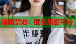 暗网禁地：匿名加密平台
