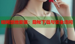 暗网禁地安装：隐秘下载与安全访问