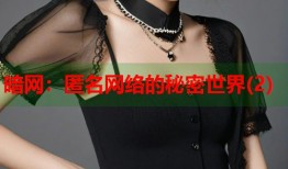 暗网：匿名网络的秘密世界(2)