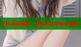 手机访问暗网：隐私浏览与安全导航