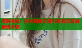 暗网揭秘：探秘隐藏交易与匿名交流的黑暗世界