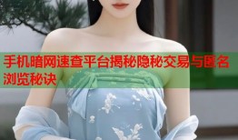 手机暗网速查平台揭秘隐秘交易与匿名浏览秘诀