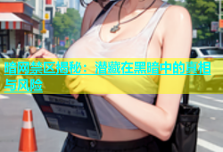 暗网禁区揭秘：潜藏在黑暗中的真相与风险