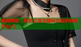 暗网揭秘：匿名交流与隐秘交易的神秘平台(1)