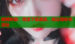 暗网秘藏：高速下载通道，直达隐秘资源地