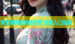 探索暗网的秘密世界 免费入门指南