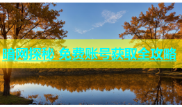 暗网探秘 免费账号获取全攻略