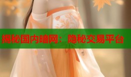 揭秘国内暗网：隐秘交易平台