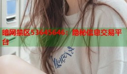 暗网禁区53645646：隐秘信息交易平台