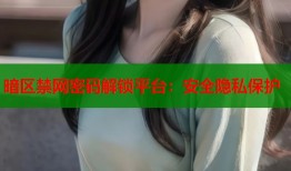 暗区禁网密码解锁平台：安全隐私保护