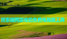 探索暗网禁地的免费电脑版工具