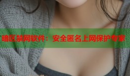 暗区禁网软件：安全匿名上网保护专家