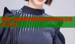 暗网与深网揭秘揭秘隐秘网络的真实用途与区别
