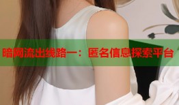 暗网流出线路一：匿名信息探索平台
