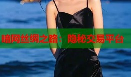 暗网丝绸之路：隐秘交易平台