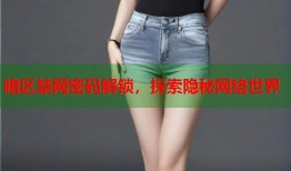 暗区禁网密码解锁，探索隐秘网络世界