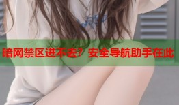 暗网禁区进不去？安全导航助手在此