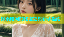 探索暗网的秘密之旅新手指南